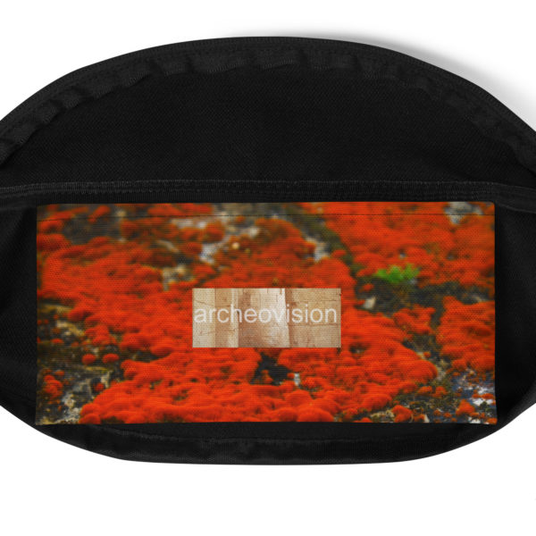 Fanny Pack "Palenque" - Image 5