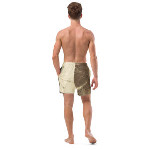 Recycled Swim Trunks "Nazca"