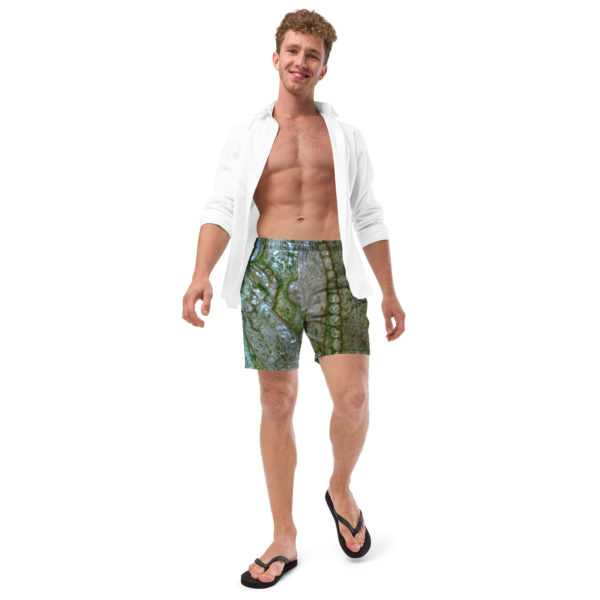 Recycled Swim Trunks "Palenque" - Image 5