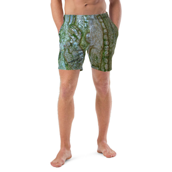 Recycled Swim Trunks "Palenque" - Image 3