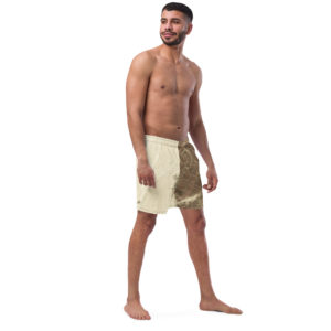 Recycled Swim Trunks "Nazca"