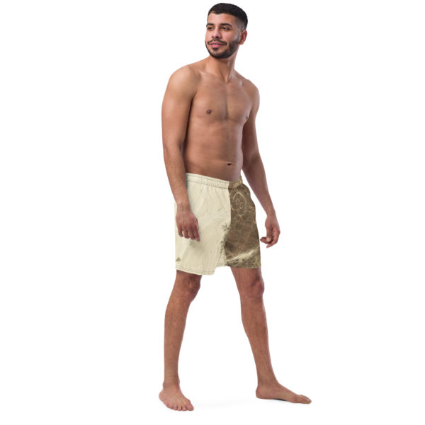 Recycled Swim Trunks "Nazca"