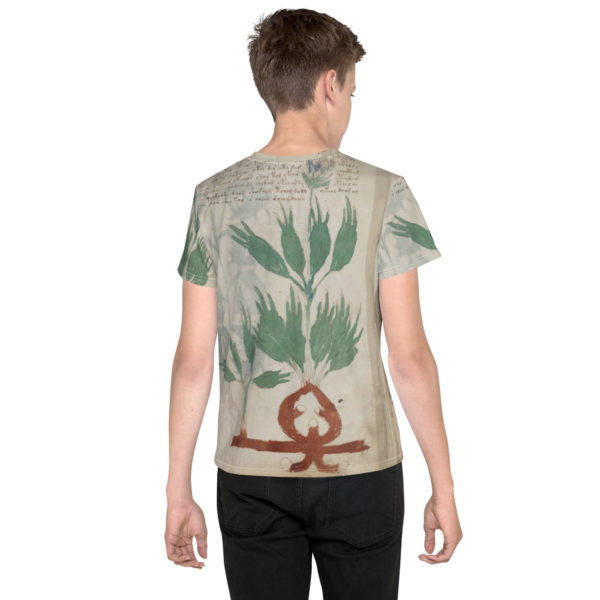Youth crew neck t-shirt "Voynich" - Image 4