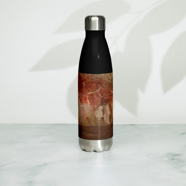 Stainless steel water bottle "Chauvet"