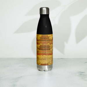 Stainless steel water bottle "Forbidden city"