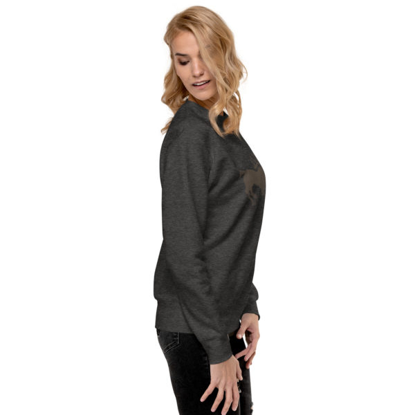 Unisex Premium Sweatshirt "Bagazarya" - Image 22