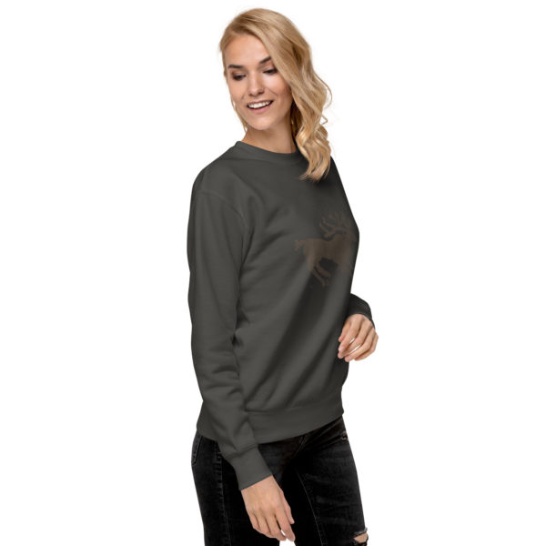 Unisex Premium Sweatshirt "Bagazarya" - Image 29