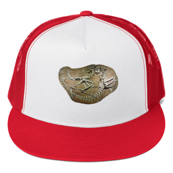 Trucker Cap "Paleo" - Image 9