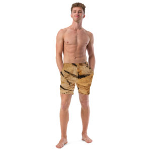 Recycled Swim Trunks "Lascaux"