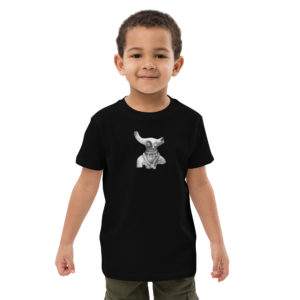 Organic cotton kids t-shirt "Indus"