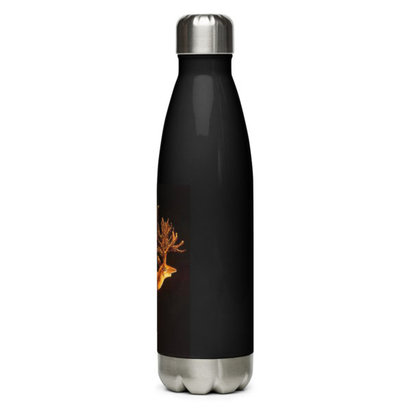 Stainless steel water bottle "Pazyryk" - Image 3