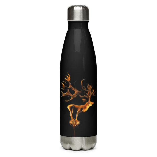Stainless steel water bottle "Pazyryk" - Image 5