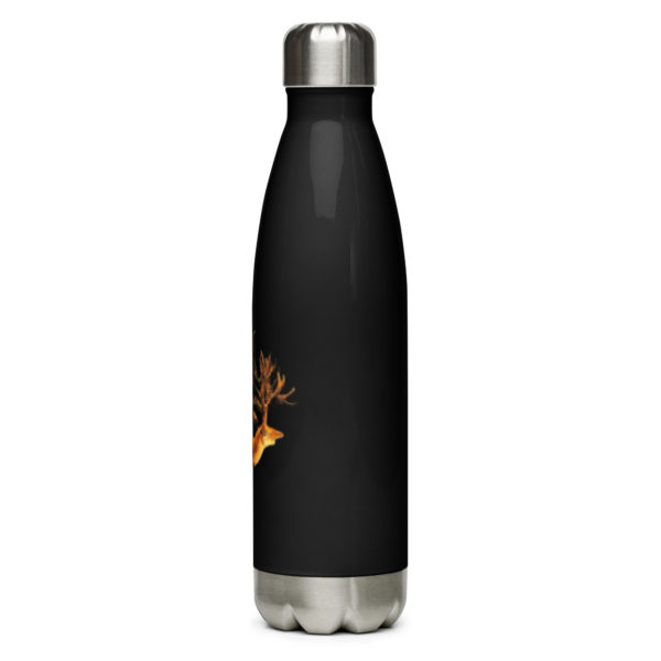 Stainless steel water bottle "Pazyryk" - Image 7