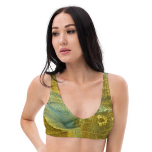 Recycled padded bikini top "Chilas"